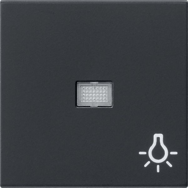 Gira 0630005 System 55 Wippe mit großem Kontrollfenster und Symbol Licht Schwarz matt